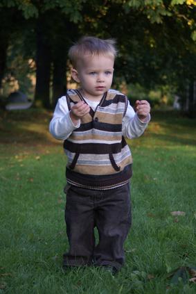 Tips on Potty Training Boys