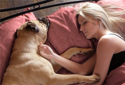Sleep with Your Pet? It Might Be a Bad Idea.