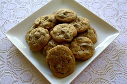 Delicious Cream Cheese Chocolate Chip Cookies