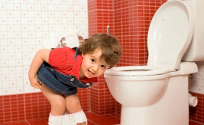 Different Techniques for Potty Training