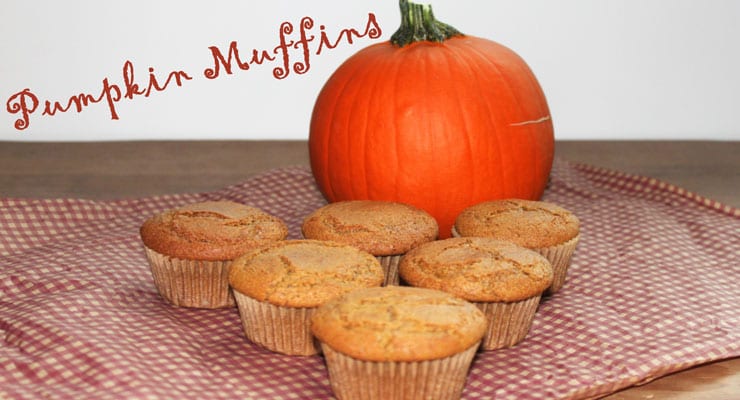 Pumpkin Muffins Recipe (gluten-free, vegan)