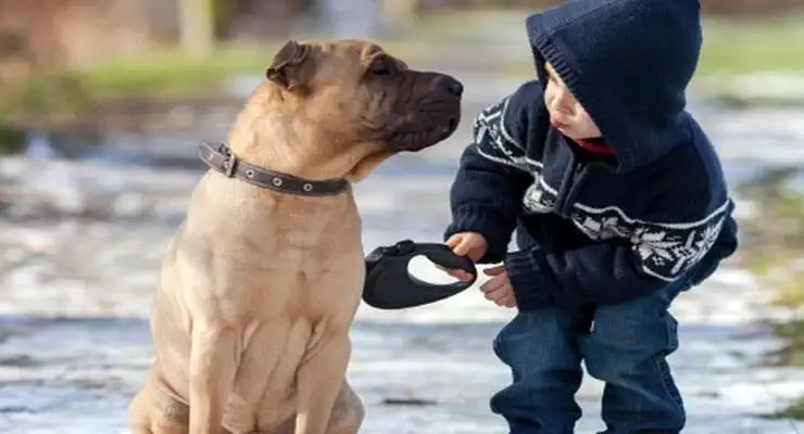 Top 10 Life Lessons You Can Learn From Your Dog