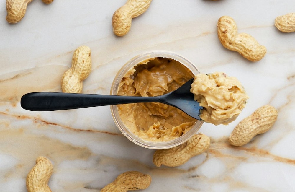 Crunchy Grilled Apple Peanut Butter Sandwich