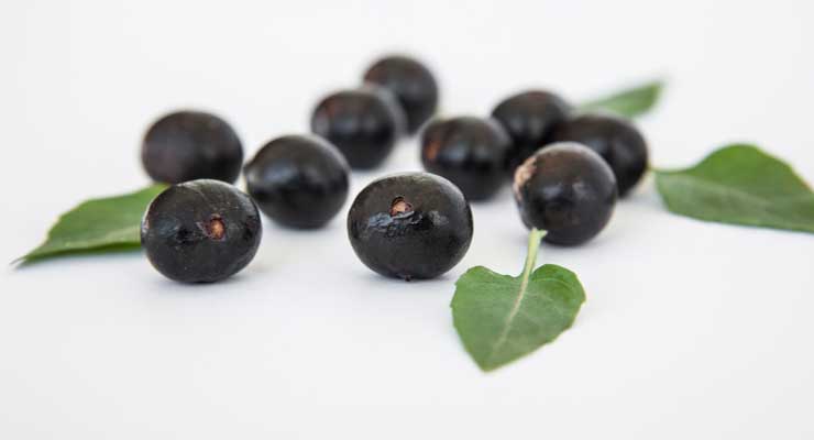 What Are the Pros & Cons of Taking Acai Berry?
