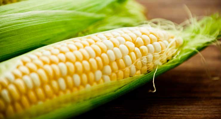 Meals That Pair With Corn on the Cob