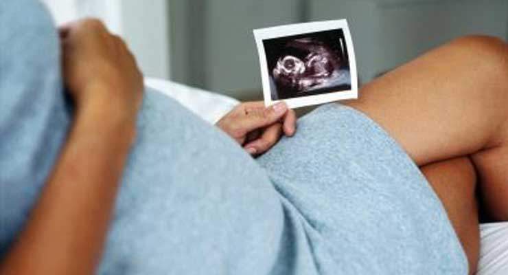 development of baby brain in womb