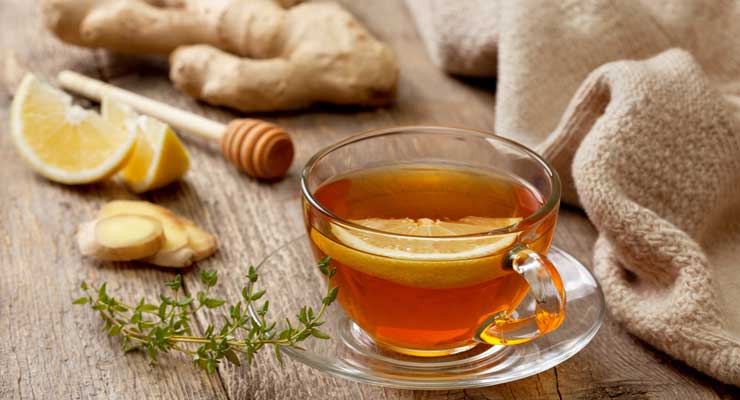 Ginger Tea During Pregnancy