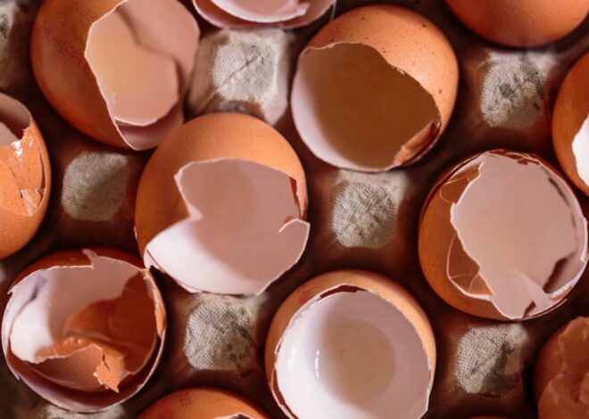 How To Make Eggshell Flower Pots