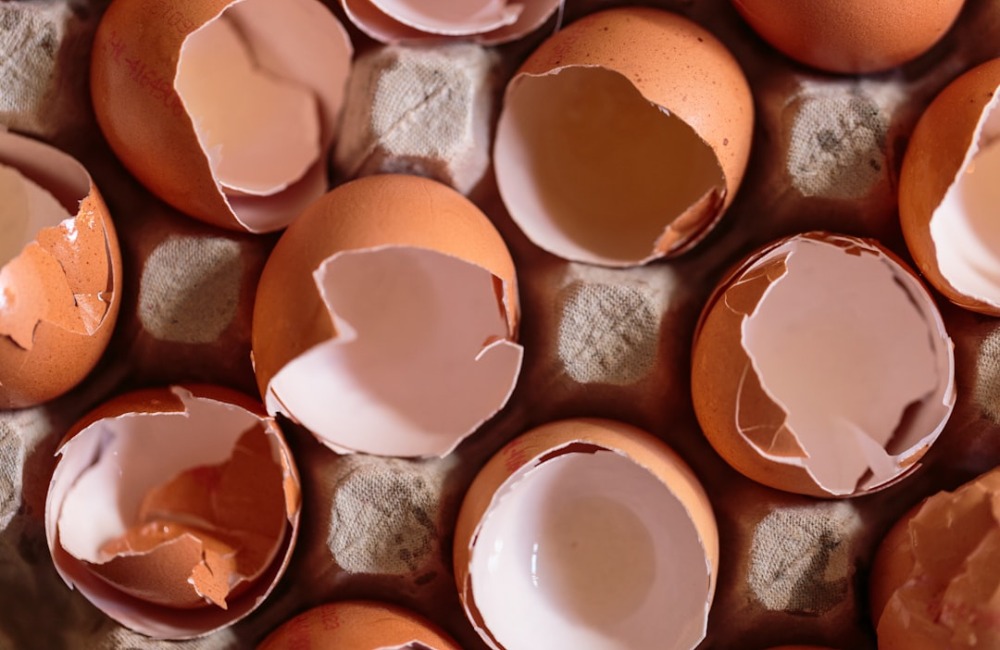 How To Make Eggshell Flower Pots