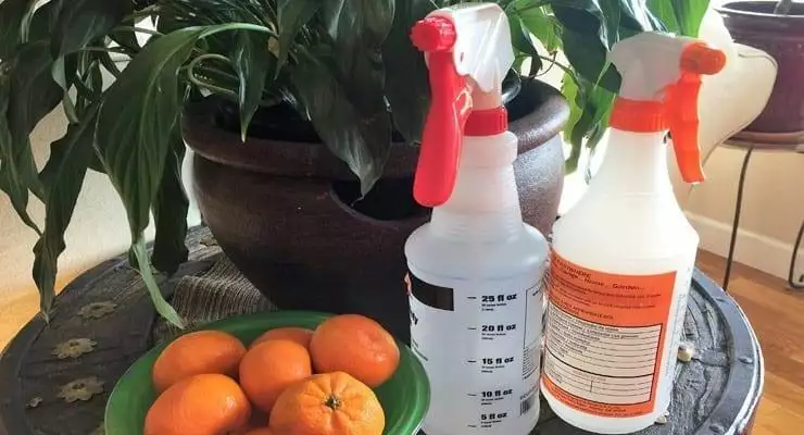 How To Make Natural All-Purpose Cleaner
