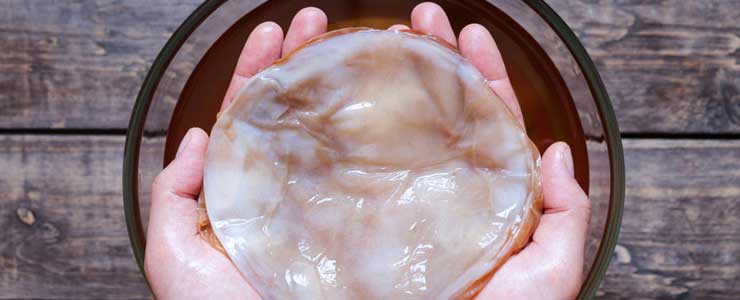 SCOBY