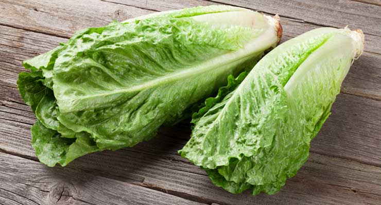 Do Not Eat Romaine Lettuce – E.Coli Outbreak Sickened 32 People