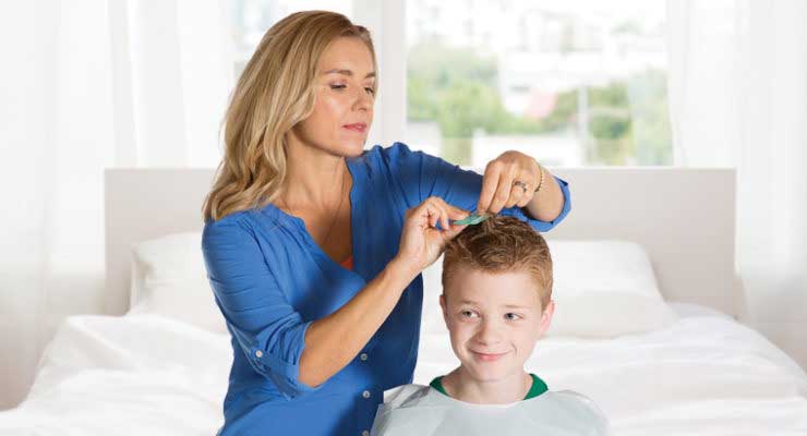 The 4 Tools You Need to Effectively Remove Lice and Nits