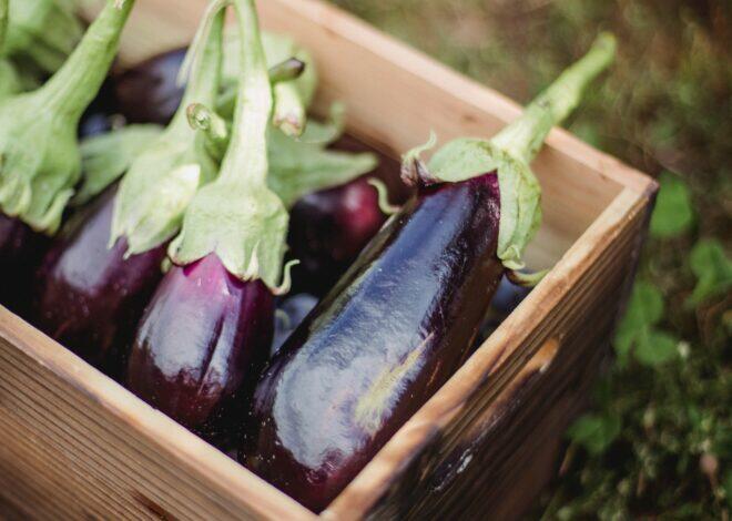 Eggplant Parmesan Recipe [Vegan]