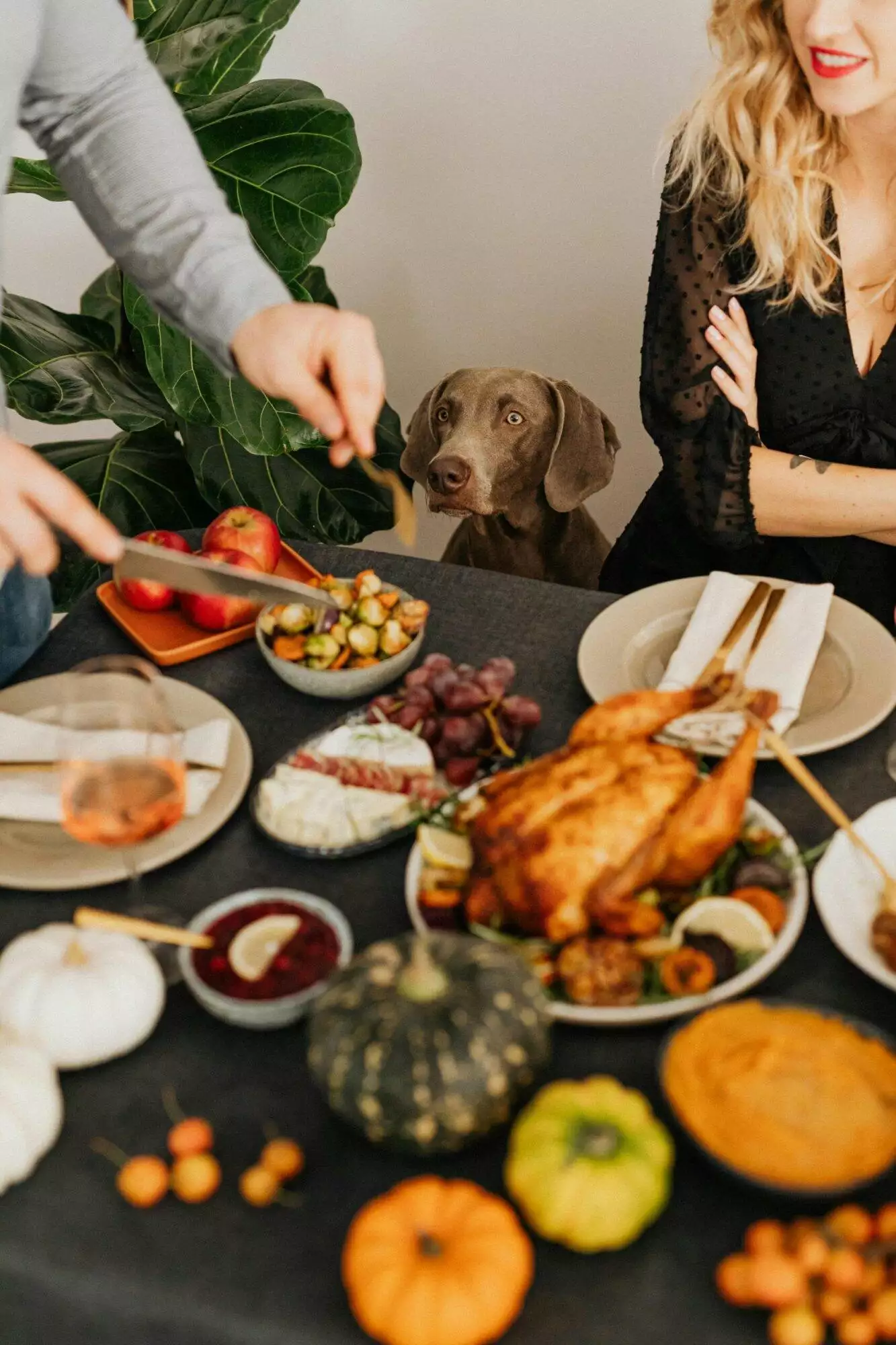 Brooke Burke’s Thanksgiving Turkey Recipe
