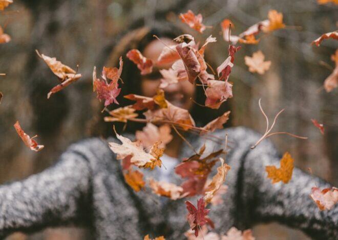 Finding Farewells, New Beginnings, and Potential for Teens This Fall