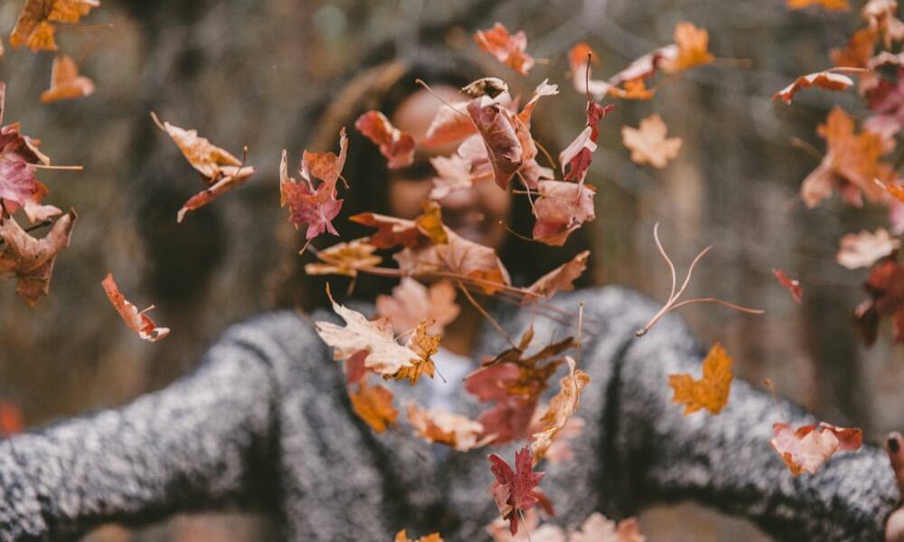 Finding Farewells, New Beginnings, and Potential for Teens This Fall