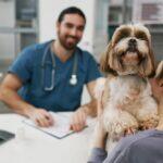 Multivitamins for Dogs