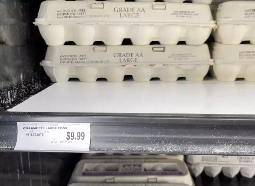 Egg Prices Are Cracking Our Budget! 6 Easy Egg Alternatives