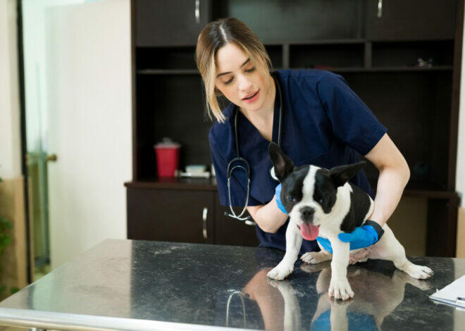 5 Signs Your Dog Needs a Vet Visit Immediately