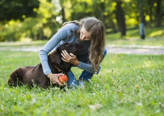 How Pet Therapy Can Improve Your Mental Health