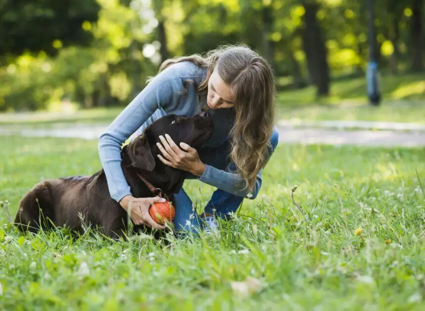 How Pet Therapy Can Improve Your Mental Health