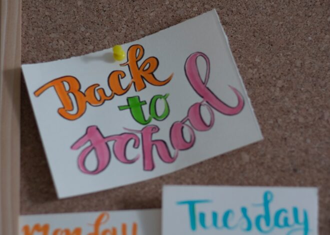 A Practical Guide to Back to School Preparation