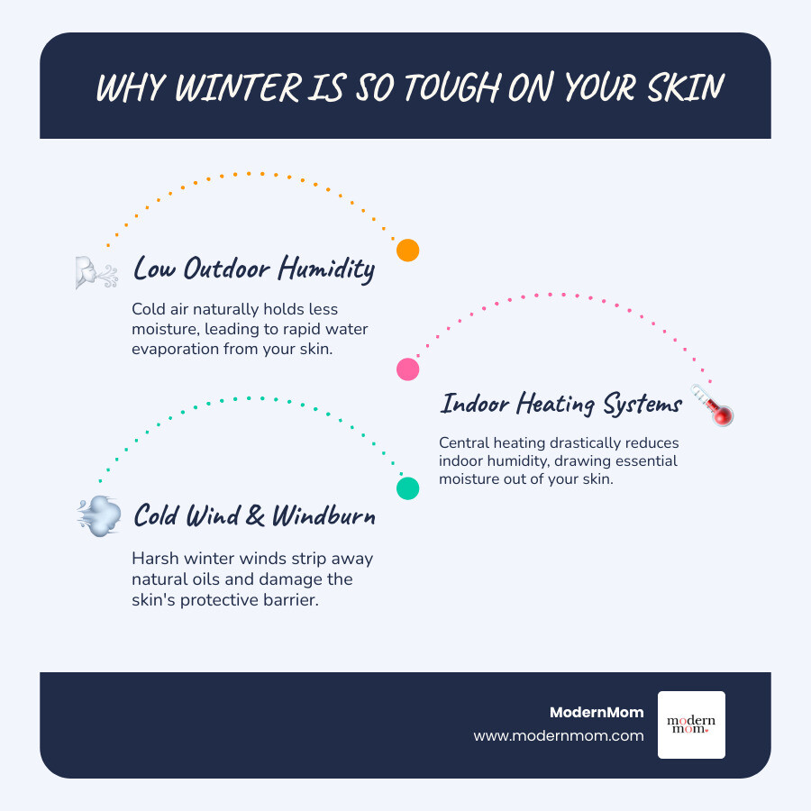 infographic showing three main causes of dry winter skin: low outdoor humidity depleting skin moisture, indoor heating systems removing moisture from air, and cold wind damaging the skin's protective barrier - healthy winter skin infographic infographic-line-3-steps-blues-accent_colors infographic showing three main causes of dry winter skin: low outdoor humidity depleting skin moisture, indoor heating systems removing moisture from air, and cold wind damaging the skin's protective barrier - healthy winter skin infographic infographic-line-3-steps-blues-accent_colors
