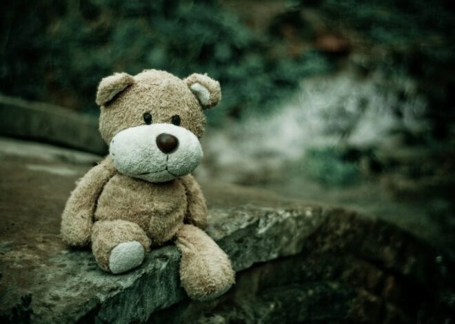 Why Is My Toddler Humping Stuffed Animals? What Parents Should Know